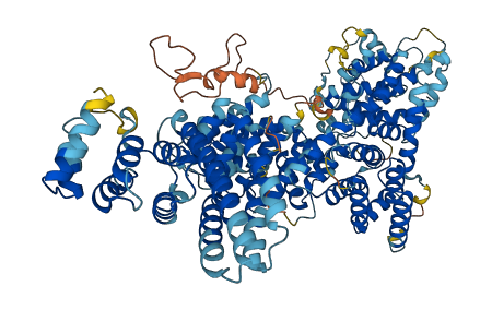 MED24 3D structure