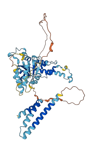 KATNA1 3D structure