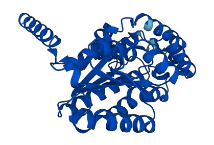 RDH16 3D structure