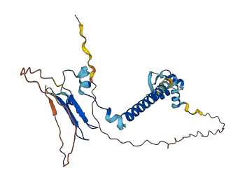 E2F6 3D structure
