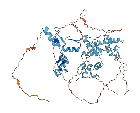 ZNF324 3D structure