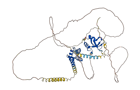 PSIP1 3D structure