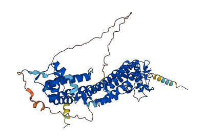 GPC4 3D structure