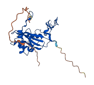 NDUFS3 3D structure