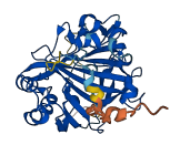 CA11 3D structure