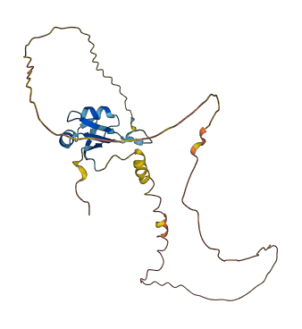 SRSF10 3D structure