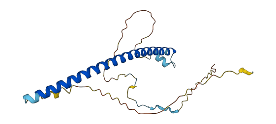 GMNN 3D structure