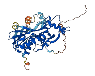 CLN5 3D structure