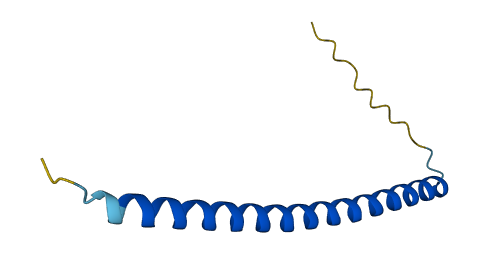 HSBP1 3D structure