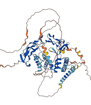 TNFRSF21 3D structure