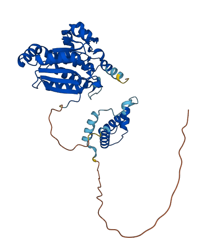 ECI2 3D structure