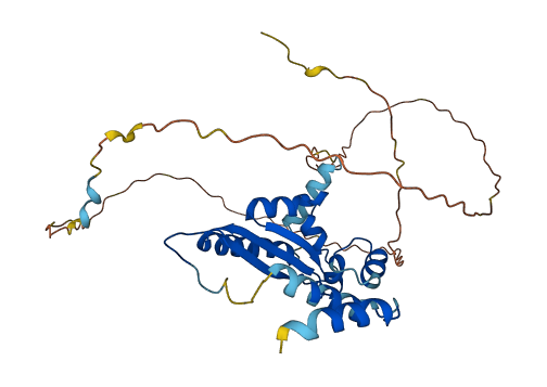 KHDRBS3 3D structure