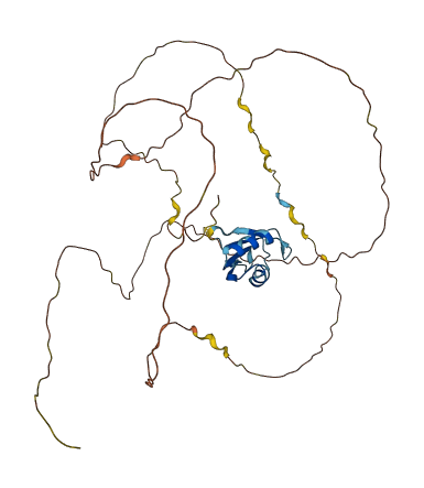 RBMXL2 3D structure
