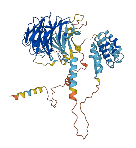 TAF5L 3D structure