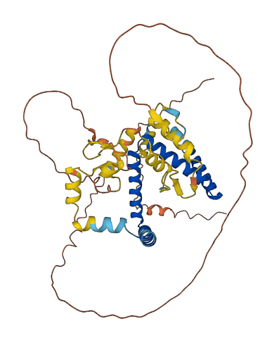 ZNF821 3D structure