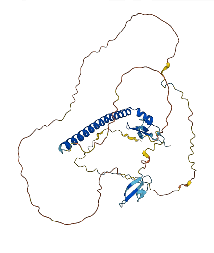WBP4 3D structure