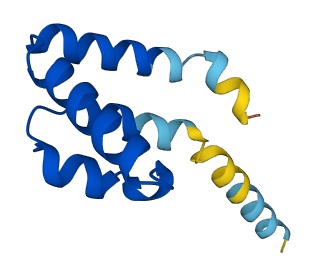 SCGB2A1 3D structure