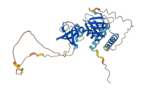 SKAP2 3D structure