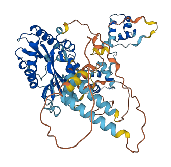 JRK 3D structure