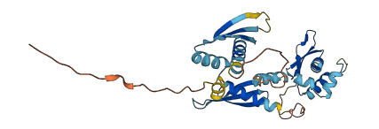 PRKRA 3D structure