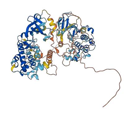 RPS6KA5 3D structure