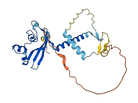 MED6 3D structure