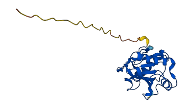 PGLYRP1 3D structure