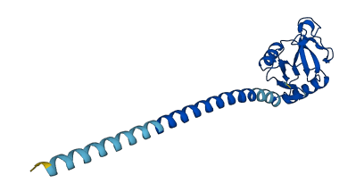 CLEC3A 3D structure
