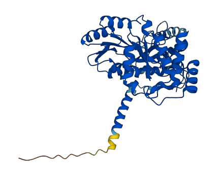 GCAT 3D structure
