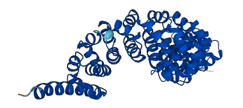 SPAG6 3D structure