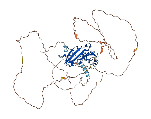GCM2 3D structure