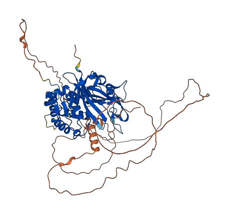 USP2 3D structure