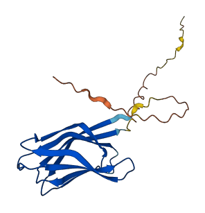 NPM3 3D structure