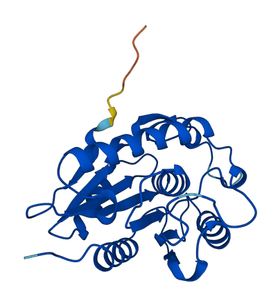 LYPLA1 3D structure