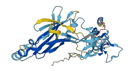 LEFTY1 3D structure