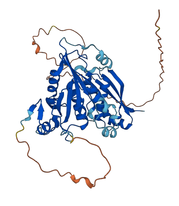 ERAL1 3D structure