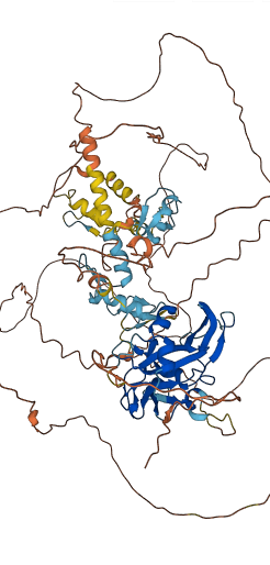 PRDM1 3D structure