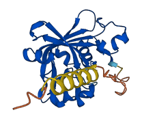 CREG1 3D structure