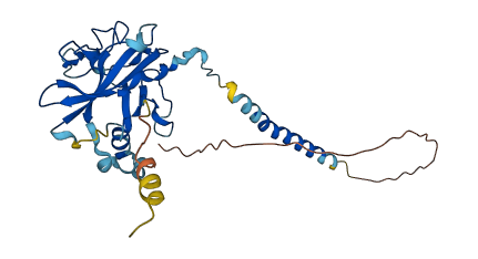UPK3A 3D structure