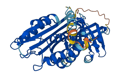 SERPINB7 3D structure