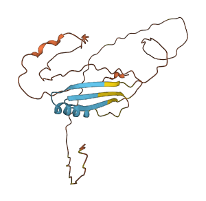 CTAG2 3D structure