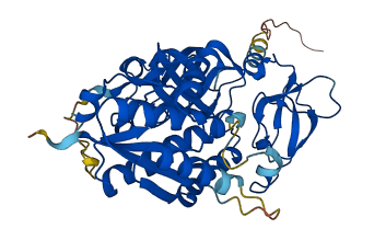 TRMU 3D structure