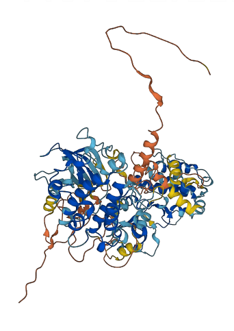 RPS6KA4 3D structure