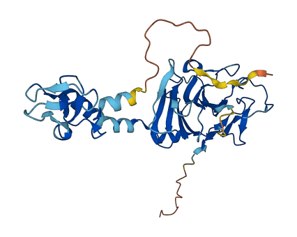 RFPL3 3D structure