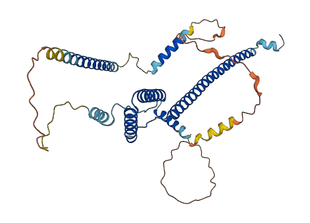 SURF6 3D structure