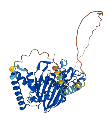 PPM1B 3D structure