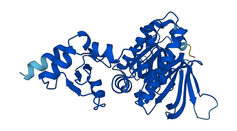 ADAP1 3D structure