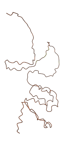 KRTAP5-8 3D structure