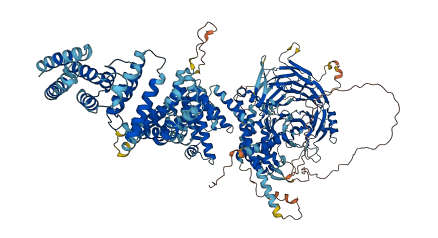 NUP155 3D structure