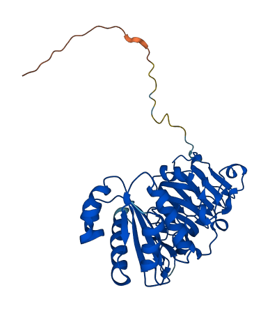 RP2 3D structure